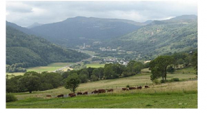 Vacances au pied des Monts du Cantal